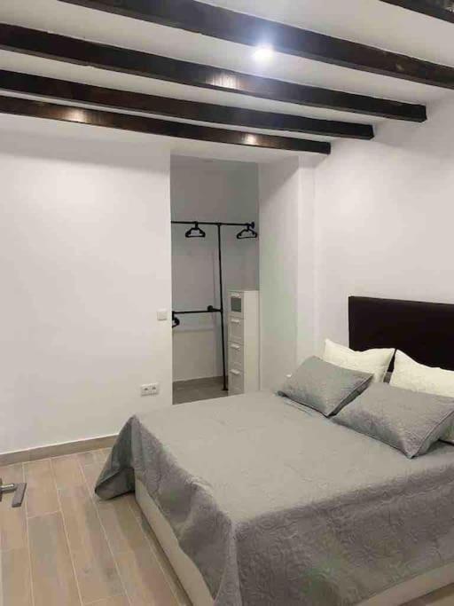 Planta Baja Moderna Y Nueva A Estrenar En El Centro Ciudad 2 Y 2 Banos Apartment *